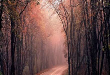 2024歐預賽第2輪哈薩克斯坦3-2丹麥 最後時刻三球完成驚天逆轉！今日份&quot童話&quot屬於哈薩克斯坦！.