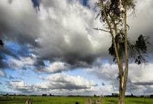 2023年八卦图老八卦图体育明星的定义.