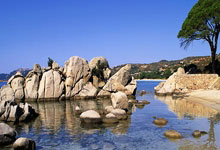 飞亚体育app：英超：切爾西0-2布倫特福德 平諾克破門姆貝莫空門得手 藍軍近5戰首次敗北.